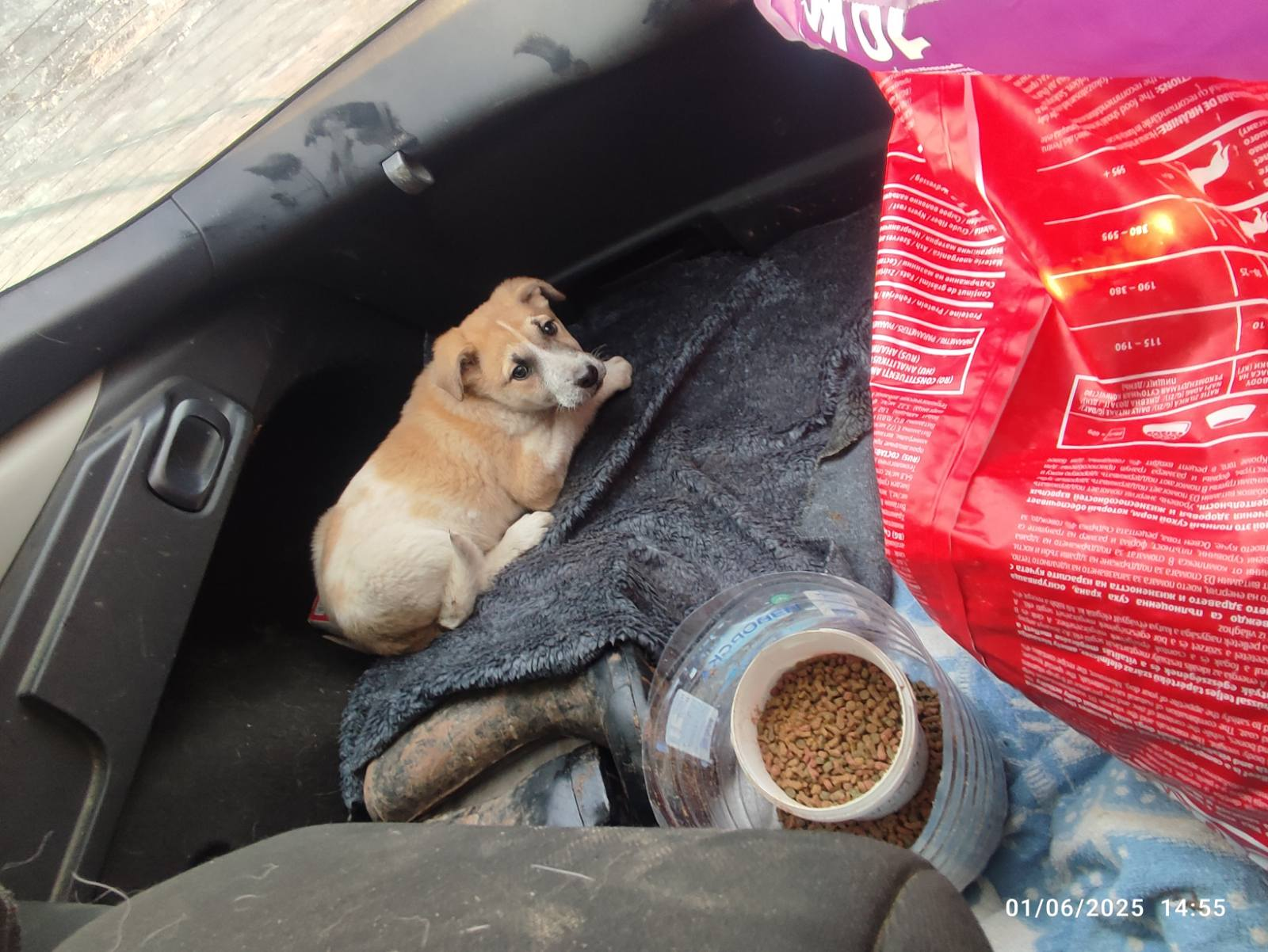 Oscar Army real life photo 2